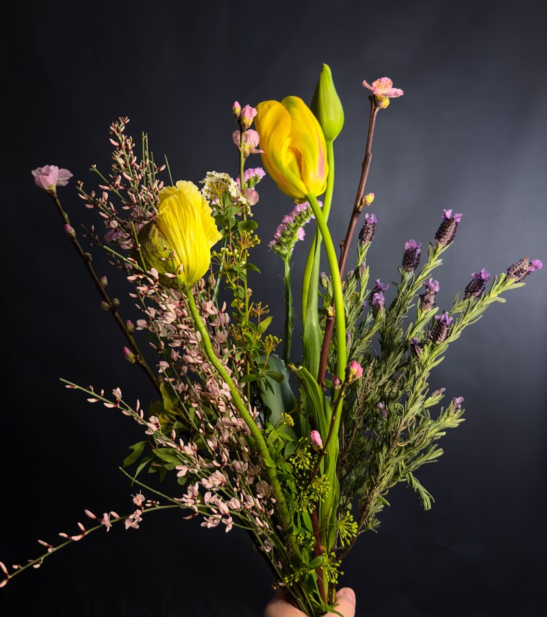 Blumengalerie-Shop-Abos-Saisonal S.jpg7